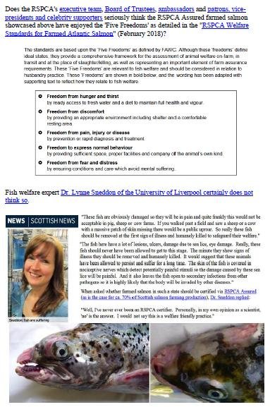 Letter to RSPCA re welfare abuse on RSPCA Assured salmon farms 5 February 2020 #1 e