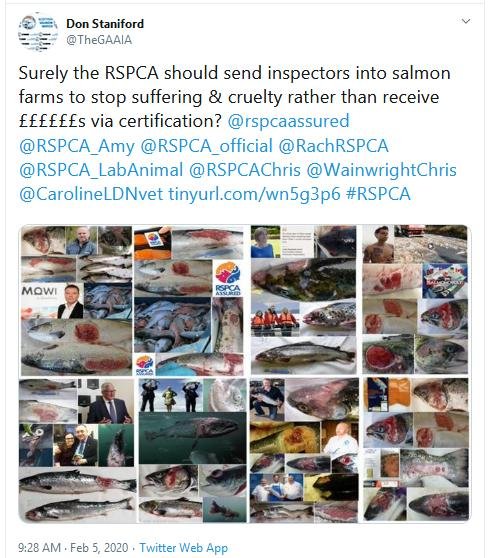 PR RSPCA Asked to Stop Certification 5 Feb 2020 Tweet #2 Executive