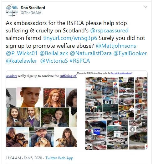 PR RSPCA Asked to Stop Certification 5 Feb 2020 Tweet #4 Ambassadors