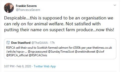 RSCPA Tweet #7 Frankie Severn