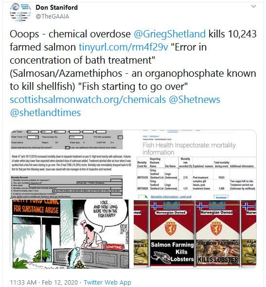 Linga Salmosan morts Dec 2019  Tweet 12 Feb 2020