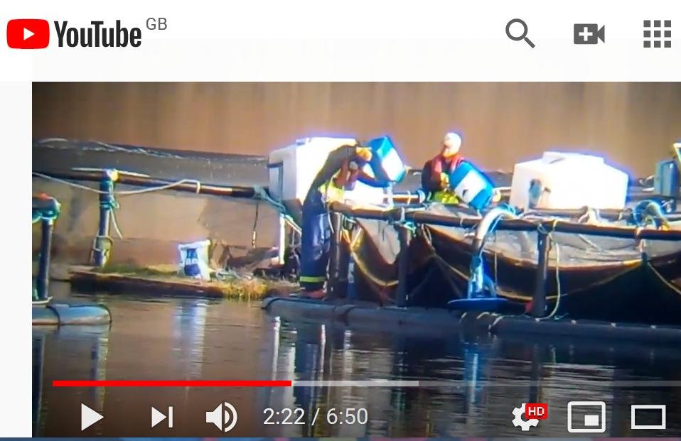 Kames video gas mask Nov 2019 #5