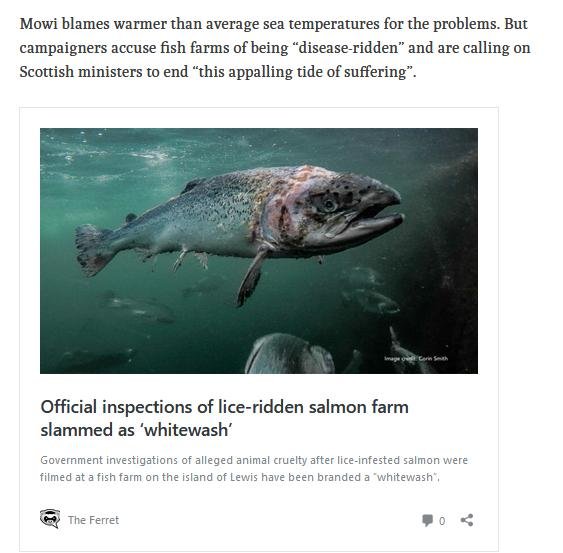 Ferret 10 Nov 2019 #3 Ferret 10 Nov 2019 #3