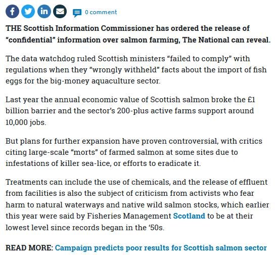 The National 11 Nov 2019 #2