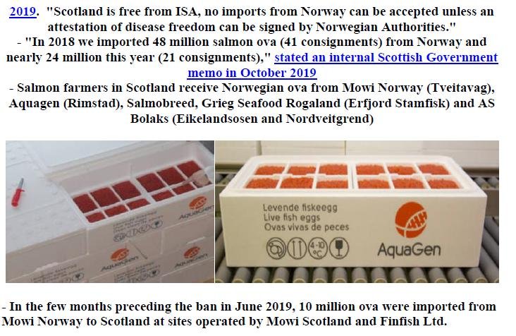 PR Norway Ova Ban Due to ISA 24 Feb 2020 #5