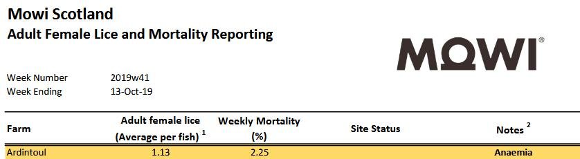Ardintoul lice & morts 13 Oct 2019