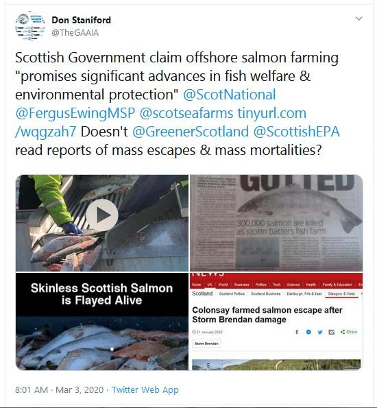 Tweet offshore 3 March 2020