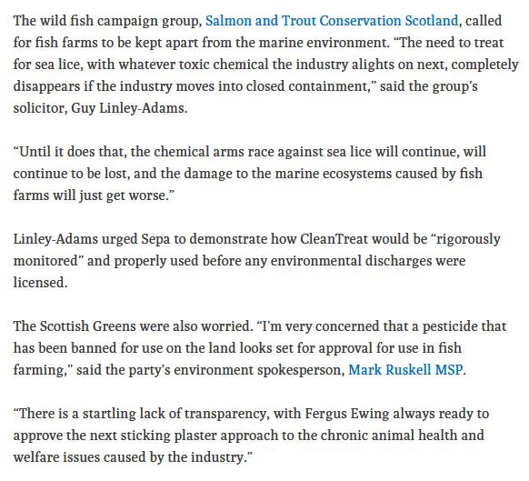 Ferret 17 March 2020 #8