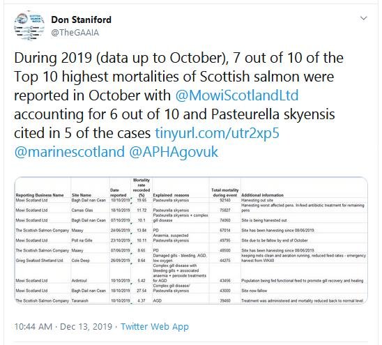 SW Morts up to Oct 2019 Worst Tweet SW Morts up to Oct 2019 Worst Tweet