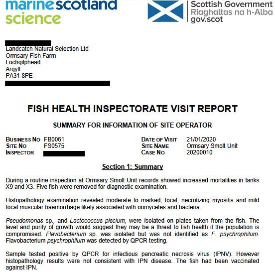 Jan 2020 FHI #9 Ormsary 2nd visit #1
