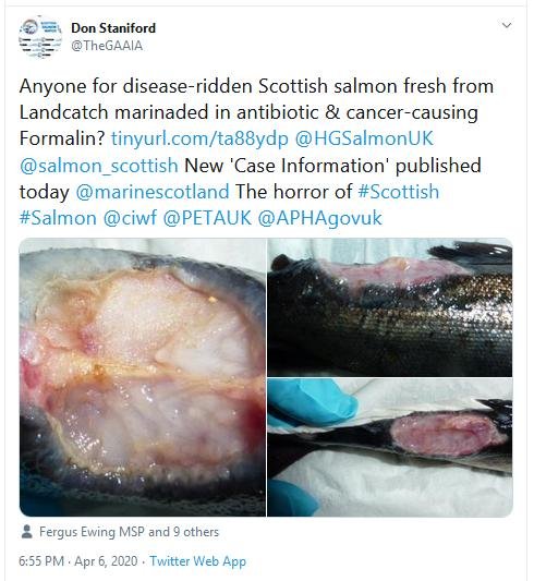 Jan 2020 FHI Tweet #1 6 April