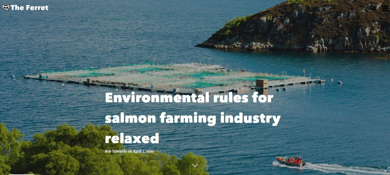 Covid Ferret 7 April 2020 #1