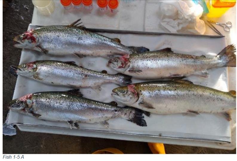 North Shore Oct 2019 Photo #5 North Shore Oct 2019 Photo #5