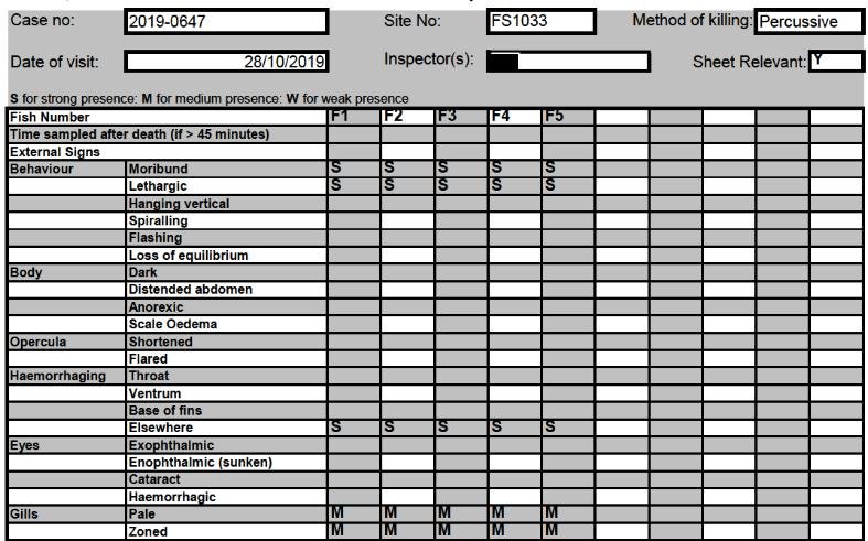 North Shore Oct 2019 #6 North Shore Oct 2019 #6