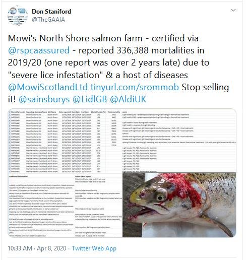 North Shore Tweet 8 April 2020 Mowi morts North Shore Tweet 8 April 2020 Mowi morts