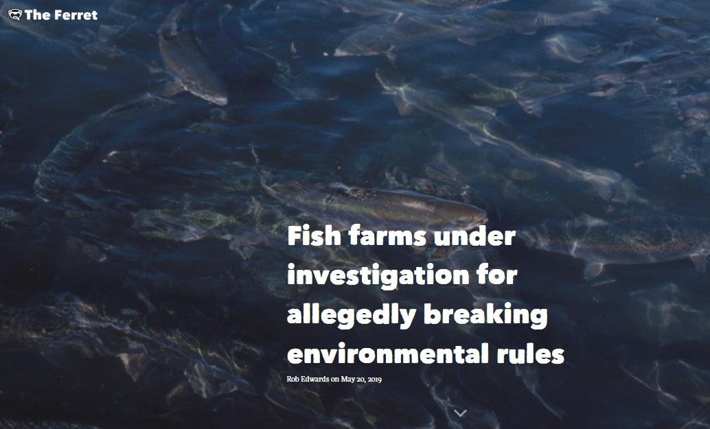 Biomass breaches Ferret May 2019