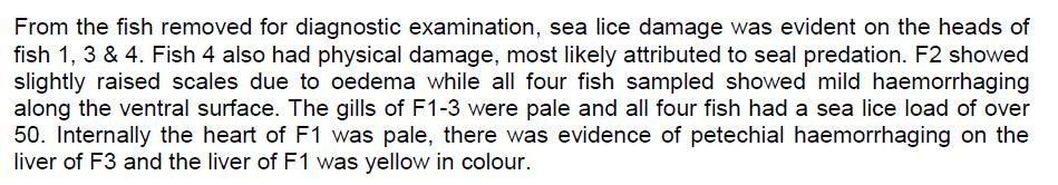 Kishorn blog Jan 2020 #1