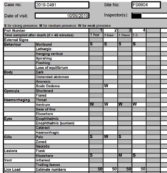 Kishorn blog Jan 2020 #4