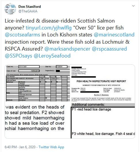 Kishorn blog Jan 2020 #11