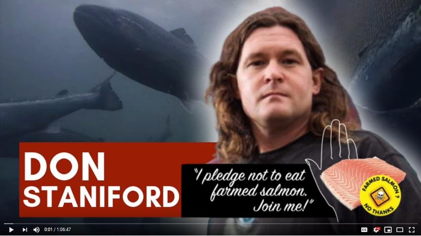 You Tube Fishing Real You Tube Fishing Real