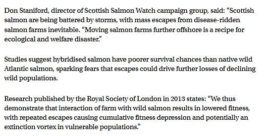 The Scotsman 21 Jan 2020 #5