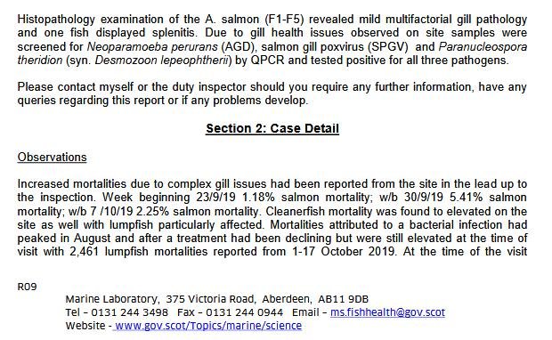 Ardintoul FHI 17 Oct 2019 #10