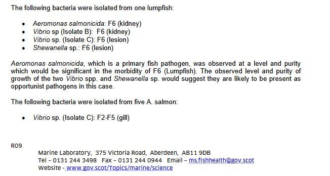 Ardintoul FHI 17 Oct 2019 #12