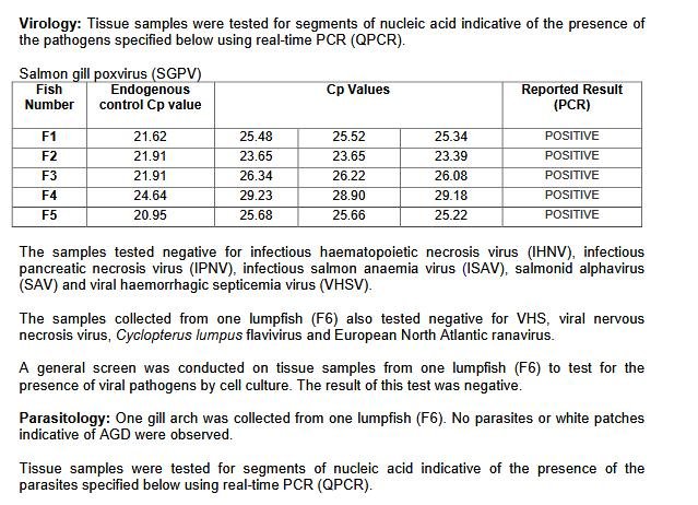 Ardintoul FHI 17 Oct 2019 #13