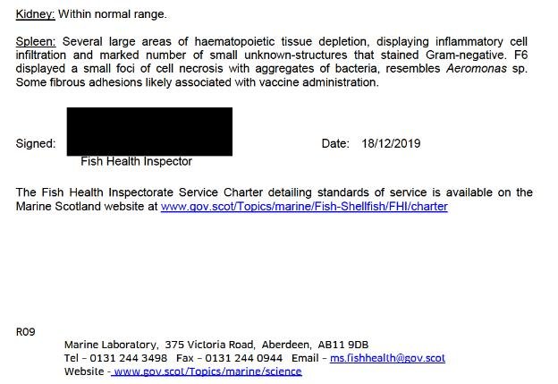 Ardintoul FHI 17 Oct 2019 #16