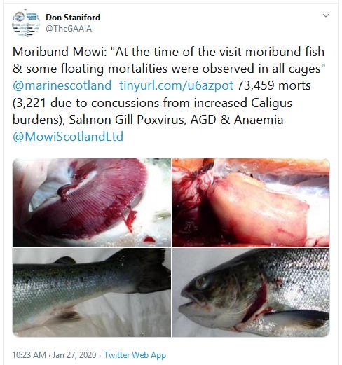 Ardintoul FHI 17 Oct 2019 Tweet re blog dated 27 Jan 2020