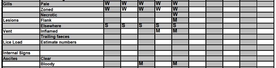 Tabhaigh FHI 13 Nov 2019 #6