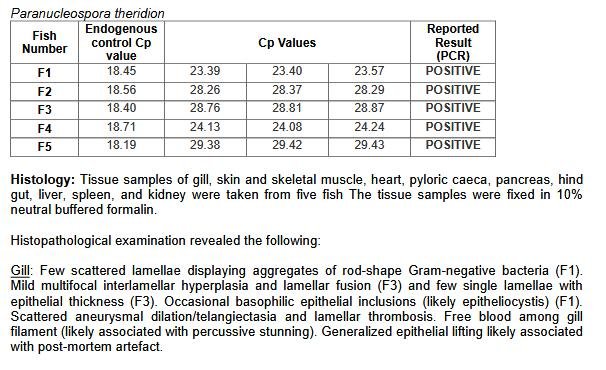 Tabhaigh FHI 13 Nov 2019 #12