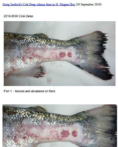 Photo Dossier of FHI Case Information Feb 2020 #5 Grieg Cole Deep