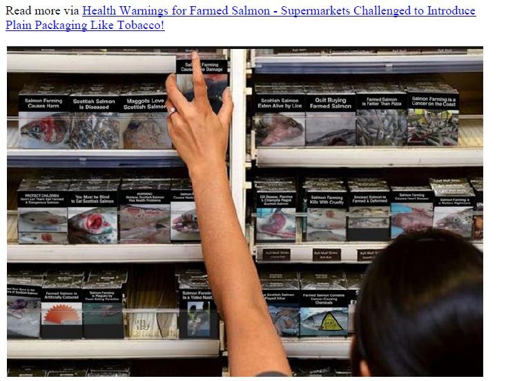 Welfare of Salmon Farming Summary Feb 2020 #13 Welfare of Salmon Farming Summary Feb 2020 #13