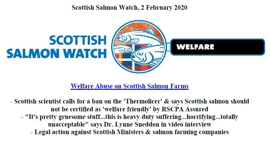 PR Welfare Abuse on Scottish Salmon Farms 2 Feb 2020 #1