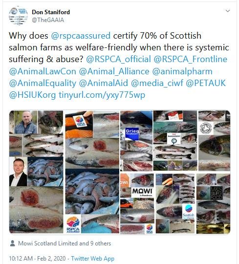 The Faces of Scottish Salmon Feb 2020 Tweet 2 Feb 2020 The Faces of Scottish Salmon Feb 2020 Tweet 2 Feb 2020