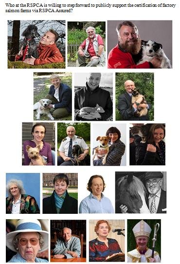 Letter to RSPCA re welfare abuse on RSPCA Assured salmon farms 5 February 2020 #2