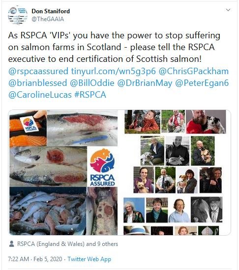 PR RSPCA Asked to Stop Certification 5 Feb 2020 Tweet #1 VIPs