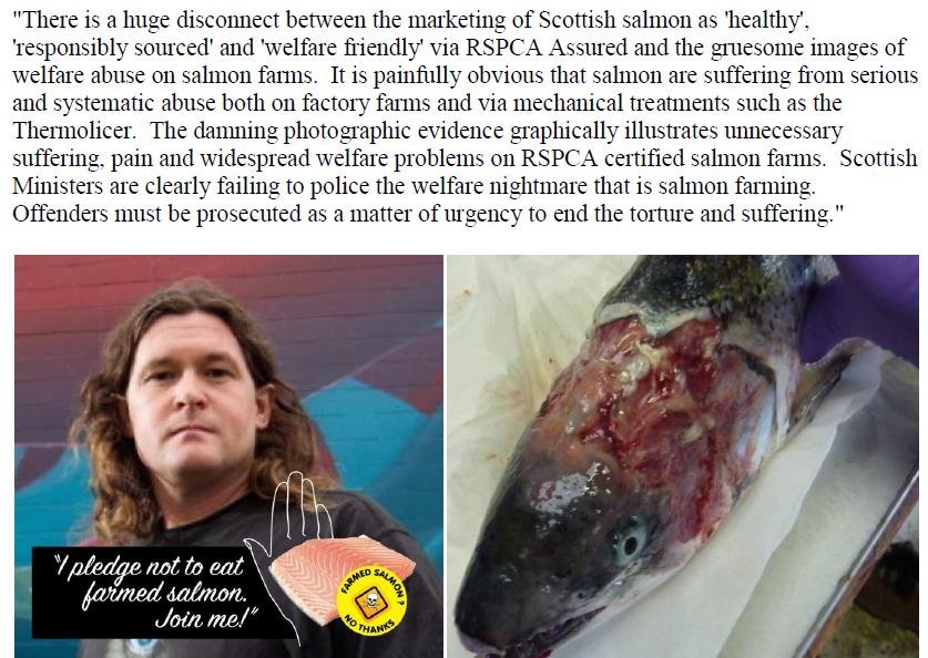 PR RSPCA Asked to Stop Certification 5 Feb 2020 #4