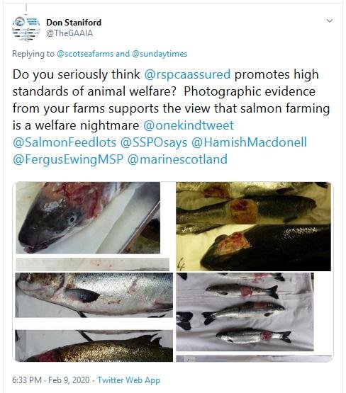 RSCPA Tweet #17 GAAIA reply to SSF RSCPA Tweet #17 GAAIA reply to SSF