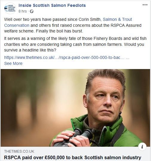 RSCPA Tweet #18 Facebook RSCPA Tweet #18 Facebook