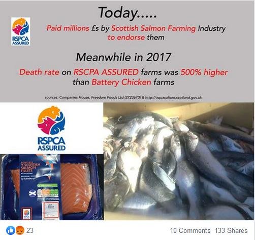 RSCPA Tweet #24 Corin Facebook 2018 #2 RSCPA Tweet #24 Corin Facebook 2018 #2