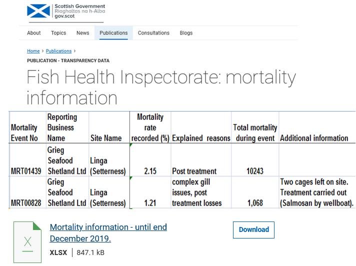 Linga Salmosan morts Dec 2019 #1