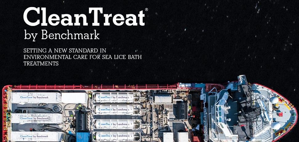 Clean Treat blog #24