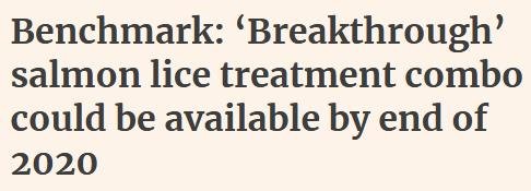 Clean Treat blog #27