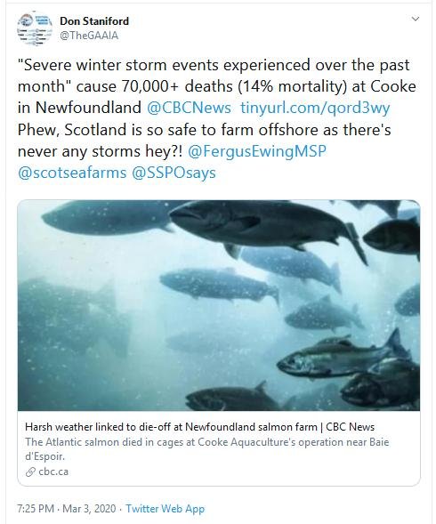 Tweet offshore 3 March 2020 #3