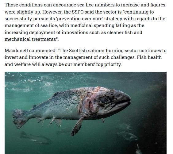 National 9 March 2020 #6