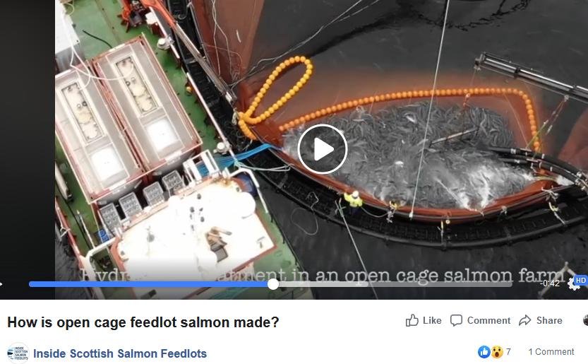 Hydrolicer video Corin Smith Hydrolicer video Corin Smith