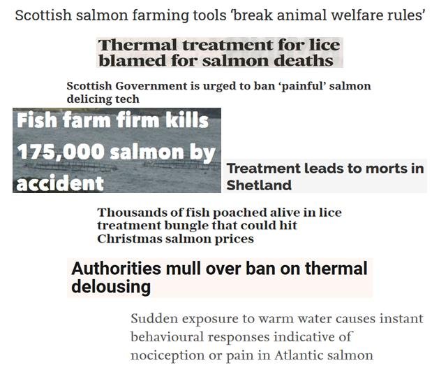 PR Thermolicer ban call 9 March 2020 News Headline page #1 PR Thermolicer ban call 9 March 2020 News Headline page #1