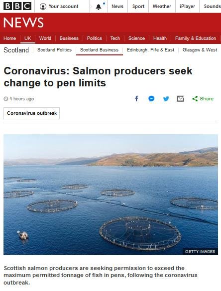 Coronavirus BBC 12 March 2020